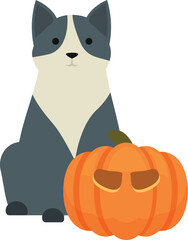 Pumpkin party icon cartoon vector. Kitty treat. Animal holiday halloween