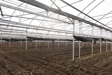 greenhouse cultivation of lettuce, vegetable harvest period and particular land with vegetables