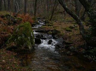 Arroyo del Sestil  del Maillo , Canencia 