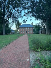 landscapes, fungi, flowers.