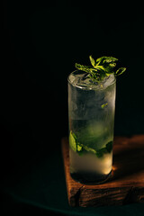 mojito cocktail