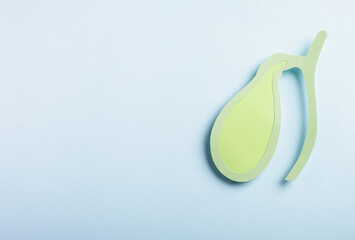 Gallbladder decorative paper model on pastel blue background. Gallbladder disease concept,...