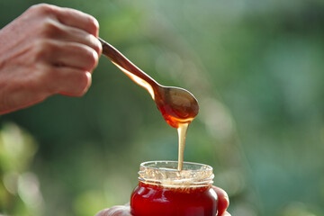 flowing honey dripping from the spoon into the preserving jar pot in the hand with green natural...