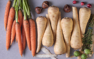 A flat lay view of fresh garden vegetables - carrots, parsnips, brussel sprouts.