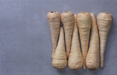 Flat lay view of parsnips in a row on grey background.