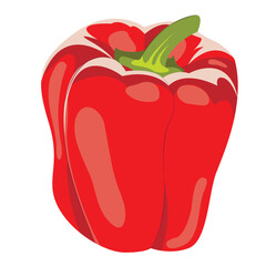 Diet and healthy food, vector drawing of red bell pepper, delicious and juicy sweet pepper. Farming and growing vegetables. Design elements