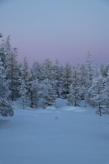 Couchée de soleil - Laponie finlandaise 