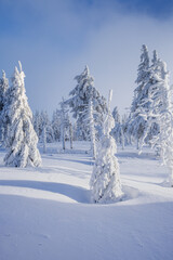 Winter landscapes in the Czech Jeseniky Mountains. Snow and ice created fairy-tale views. The mountains look beautiful this time of year.