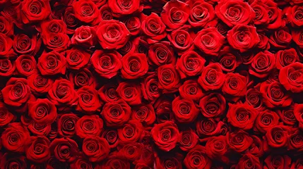 Fotobehang Red roses background, Happy St Valentines Day, Mothers Day, Love and birthday concept. © Birol Dincer 