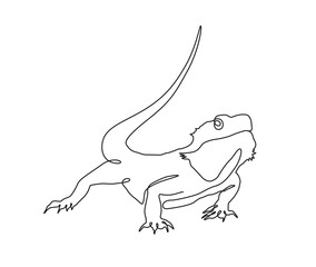 Continuous line drawing of a Lizard dragon  Vector illustration