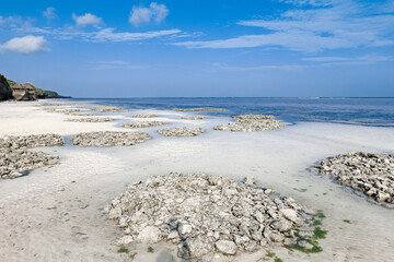 Mtende beach, Zanzibar island Unguja, Tanzania, East Africa - 715788364
