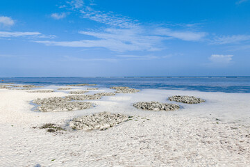 Mtende beach, Zanzibar island Unguja, Tanzania, East Africa - 715788525