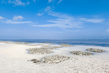 Mtende beach, Zanzibar island Unguja, Tanzania, East Africa - 715788585