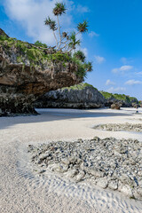Mtende beach, Zanzibar island Unguja, Tanzania, East Africa - 715788958