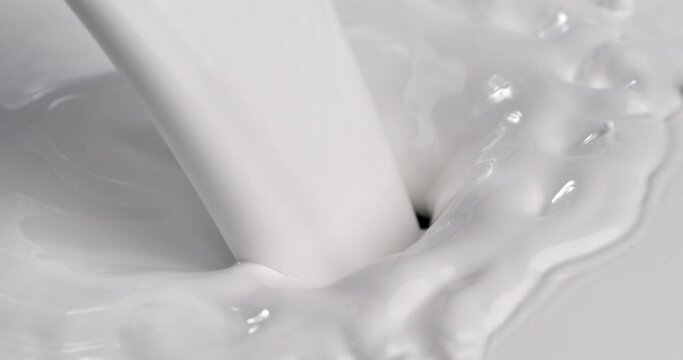Super slow motion macro of fresh organic bio milk is being poured with splashing white drops in dairy farm at 1000 fps.