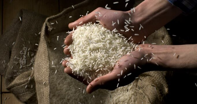Super slow motion close up of farmer is controlling quality of handful dry basmati quality white rice over burlap sack background at 1000 fps.