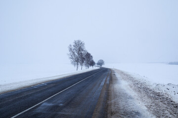 Winter landscape: the highway goes towards lonely trees