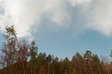 sky and clouds