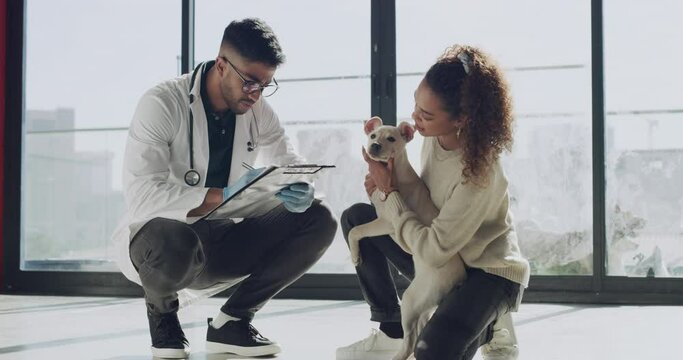 Dog, vet and woman with doctor in consultation for health, checkup exam and medical care. Pet animal, man and clinic appointment with professional writing on checklist for help in treatment service