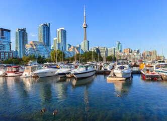 Fototapeta na wymiar Toronto skyline from Harbourfront