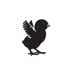 Chick, baby bird vector