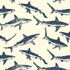 shark, pattern, ocean, blue, design