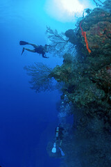 scuba diving photos from Grand Cayman