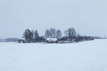 Winter landscape: a village on a winter day in the middle of white fields
