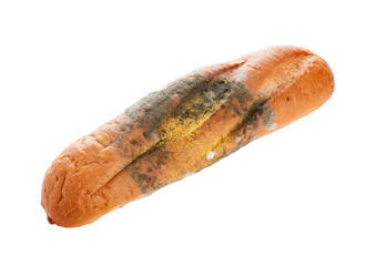 Mold On Bread. Isolated