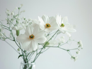 Closeup flower vase with beautiful white flowers on white background