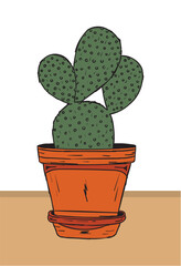 cactus plant in flower pots
