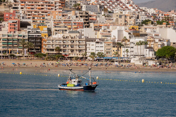 Obraz premium 2023-canarie-1312