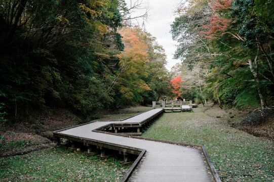 The cement walkway in the green public park.Stone Pathway in japan.