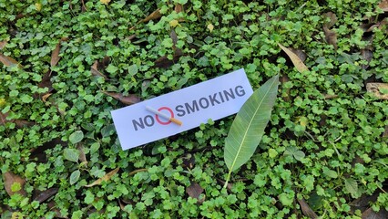 No smoking sticker on green grass, Stop smoking background
