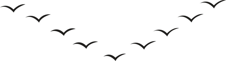 Flying Birds sign, flying birds, flock of flying birds