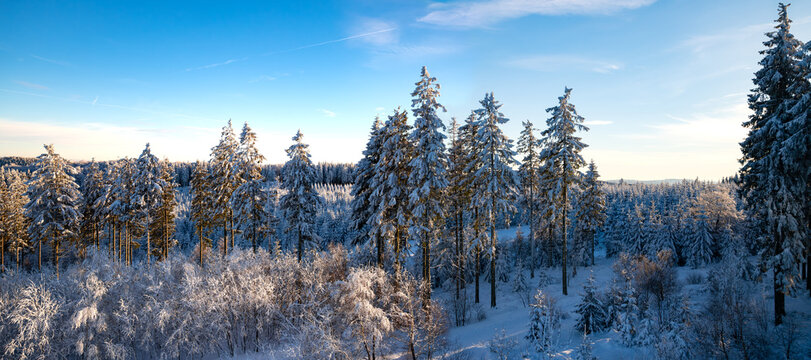 Winter wonderland panorama in Willingen, Upland Germany. Idyllic  frosted and snow covered forests, pine trees, hills near popular Ettelberg mountain. Wide angle view of idyllic landscape in January.