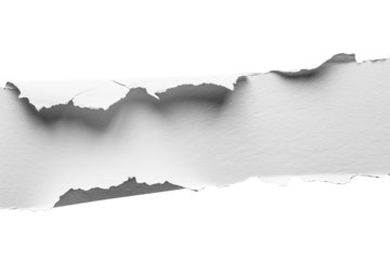 Ripped paper tear from notebook or sheet isolated on transparent png background, cutout paper, blank note piece,