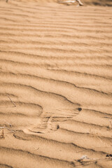 Fototapeta na wymiar Texture of sand in the hot summer desert of Kyzylkum in Uzbekistan on a summer day