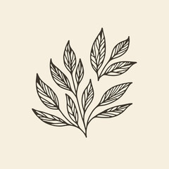 Vintage Minimalist Leaf Line Drawing Logo Design Art Illustration