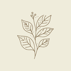 Vintage Minimalist Leaf Line Drawing Logo Design Art Illustration