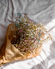 Gipsówka © Weronika