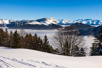 Fototapeta premium Sommet de la Dent de Crolles et Chaîne de la Belledonne depuis le Charmant Som, dans le parc naturel régional de Chartreuse, recouvert de neige au dessus d’une mer de nuages
