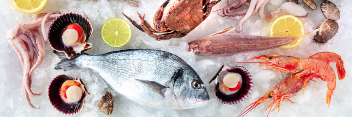 Seafood panorama. Fresh fish and sea food on ice, overhead flat lay view. A background for a market...