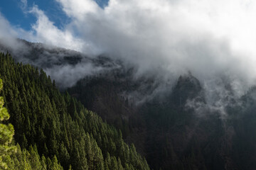 Aerial view of light shining through low clouds on mountains covered in forests