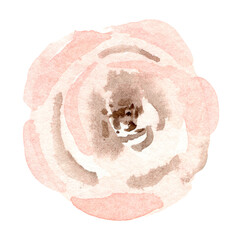 Watercolor pink flower illustration isolated on white