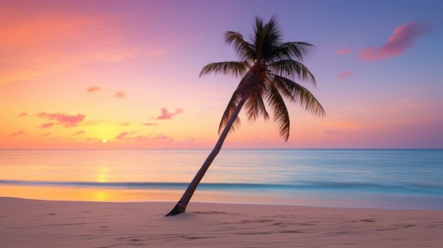 Breathtaking view of sunset at tropical beach with palm silhouette. Nature background.