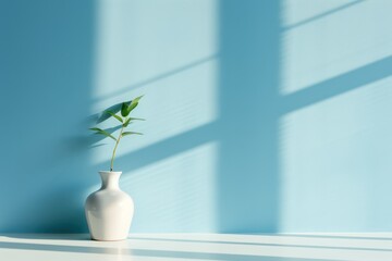 Green plant in a white vase, light blue wall with shadows.