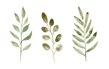 Watercolor green branches set illustration isolated on white