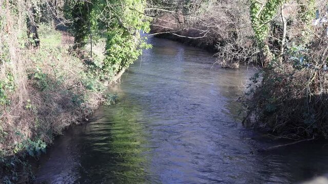 Great Stour River, Canterbury, Kent, uk