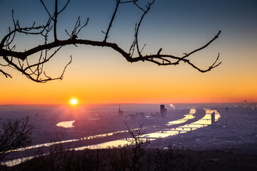 Beautiful aerial sunrise view on Vienna, the capital city of Austria with the two streams of the Danube river and a dominant silhouette of a leafless winter branch in the foreground